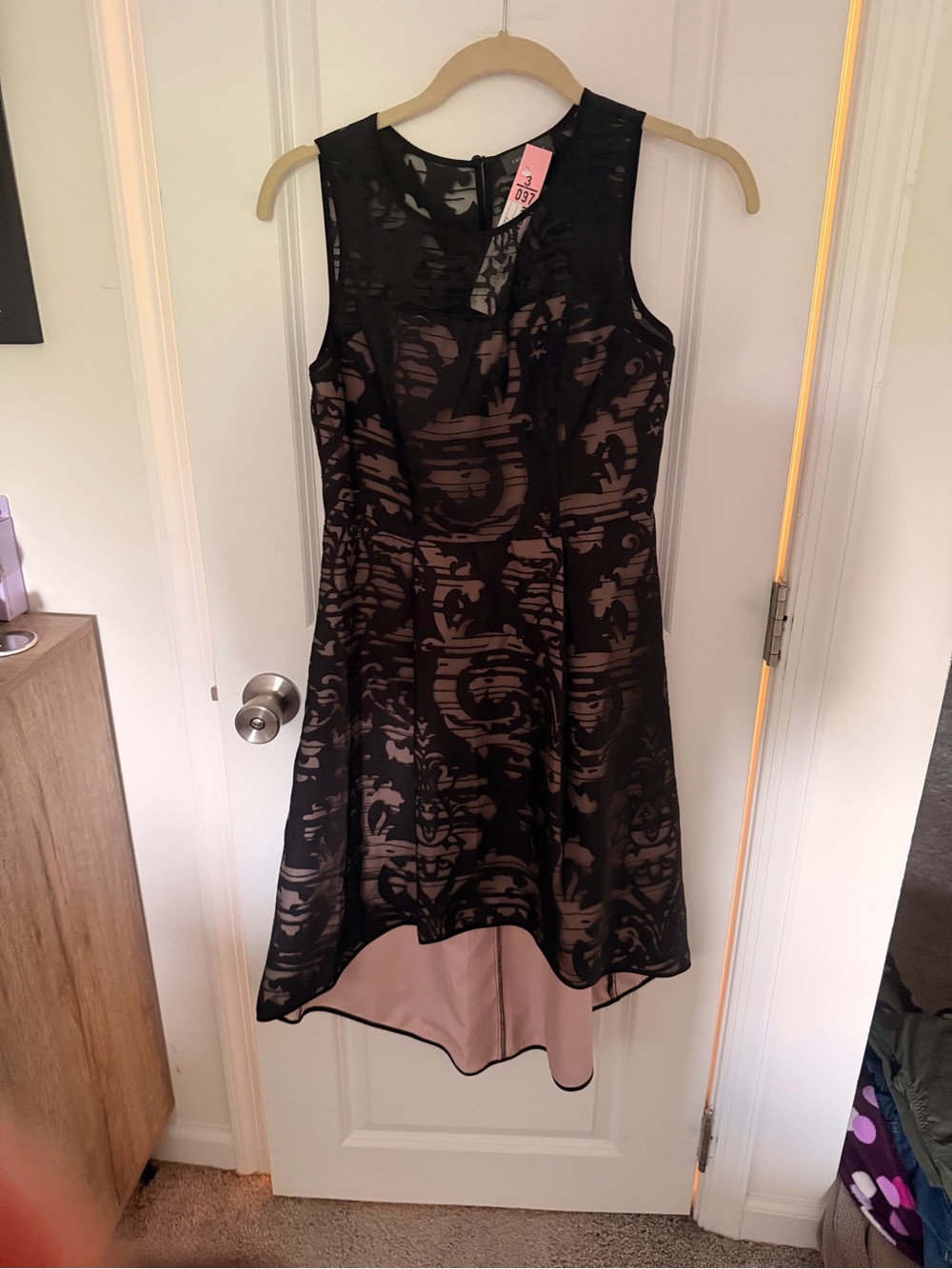 The Limited Black Lace Overlay Fit-and-Flare Dress with Blush Lining